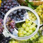 corsi-haccp